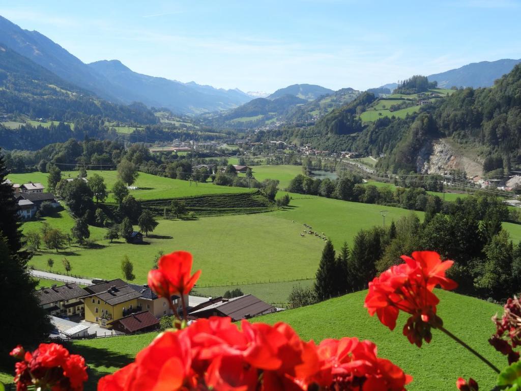 Pension Appartements Reithof Sankt Johann im Pongau Cameră foto